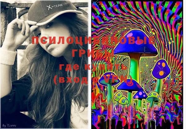 PSILOCYBIN Беломорск