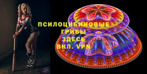 PSILOCYBIN Беломорск