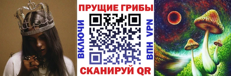 где купить   блэк спрут как войти  Псилоцибиновые грибы прущие грибы  Севск 